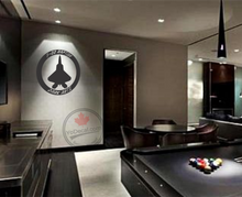 'F-22 Raptor - Dark Arts' Premium Vinyl Decal