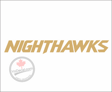 'RCAF 409 Nighthawk Sqn Stylized Name' Premium Vinyl Decal Sticker