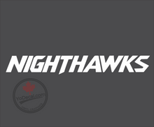 'RCAF 409 Nighthawk Sqn Stylized Name' Premium Vinyl Decal Sticker
