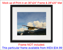 'Beaver Summer Adventure (ARTISTIC PRINT)' Premium Wall Art