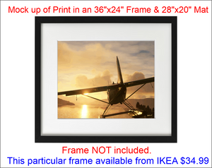 'Beaver Sunlit Final (ARTISTIC PRINT)' Premium Wall Art