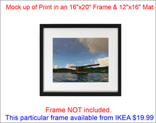 'Beaver in Her Element (ARTISTIC PRINT)' Premium Wall Art