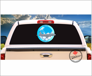 'CP-140 Aurora Full Colour' Premium Vinyl Decal