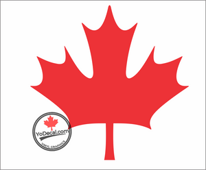 'Canadian Army Modern Maple Leaf' Premium Vinyl Decal