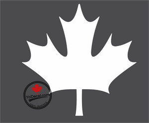 'Canadian Army Modern Maple Leaf' Premium Vinyl Decal