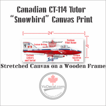 CT-114 Tutor Snowbird "How Lucky I Am" Canvas Print