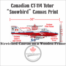 CT-114 Tutor Snowbird "How Lucky I Am" Canvas Print