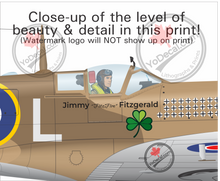 Malta Spitfire Mk Vc Tropical PERSONALIZED Aircraft Print / Lithograph