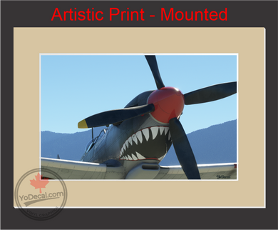 'Spitfire War Paint (Mounted ARTISTIC PRINT)' Premium Wall Art