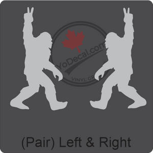 Aircraft Tail / Nose Art "Bigfoot" Premium Vinyl Decal Stencil Sticker