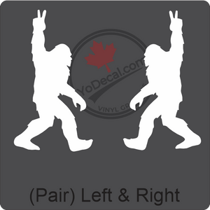 Aircraft Tail / Nose Art "Bigfoot" Premium Vinyl Decal Stencil Sticker