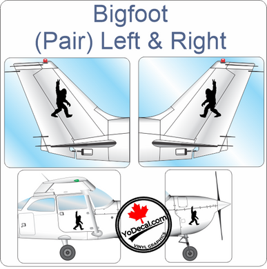 Aircraft Tail / Nose Art 