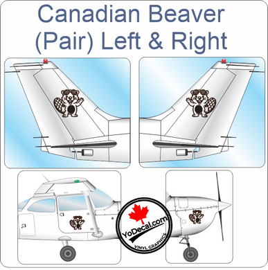 Aircraft Tail / Nose Art 