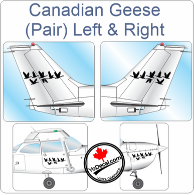 Aircraft Tail / Nose Art 