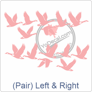 Aircraft Tail / Nose Art "Canadian Geese" Premium Vinyl Decal Stencil Sticker