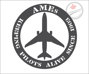 'AMEs Keeping Pilots Alive Since 1903' Premium Vinyl Decal