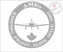 'AMEs Keeping Pilots Alive Since 1903 -Private Aviation' Premium Vinyl Decal