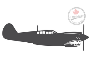 'P-40 Warhawk' Premium Vinyl Decal