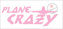 'Plane Crazy' Premium Vinyl Decal