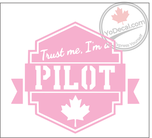 'Trust Me I'm A Pilot' Premium Vinyl Decal