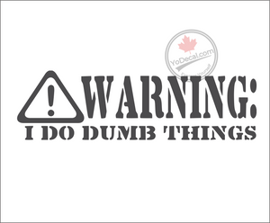 'Warning: I Do Dumb Things' Premium Vinyl Decal